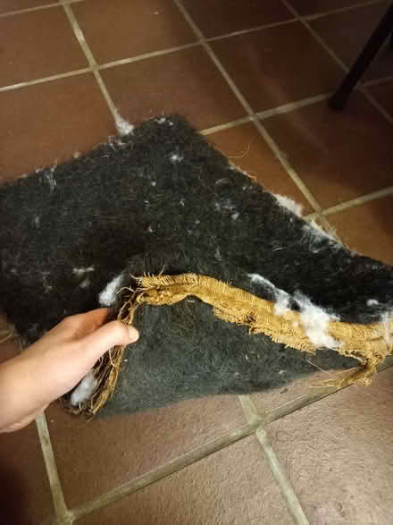 Photo of free Horsehair - traditional upholstry (Harwell OX11) #1