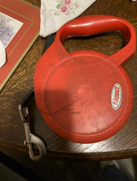 Photo of free Flexi compact retractable lead (Rochester ME1) #1