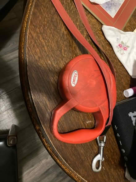 Photo of free Flexi compact retractable lead (Rochester ME1) #2