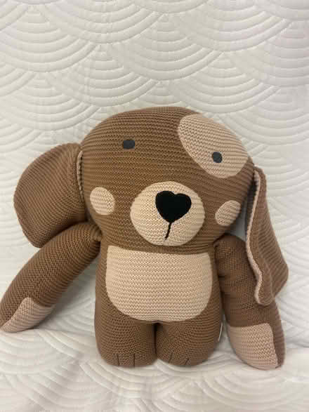 Photo of free Bearby weighted stuffed animal (Downtown Raleigh) #1