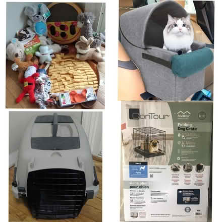 Photo of free Dog cat items crate carrier carseat (Near Mooseheart 60510) #1