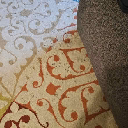 Photo of free well loved rug (Camano island Lost Lake area) #2