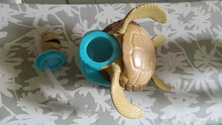 Photo of free Sippy Cup -Turtle -Disney (Etobicoke (Kipling /Eglinton)) #2