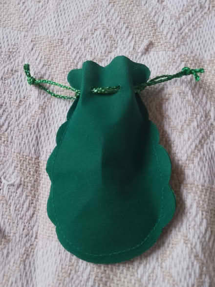 Photo of free Green felt pouch (Morden SM4) #2