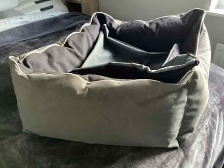 Photo of free Large dog bed grey/black (Southport PR9) #2