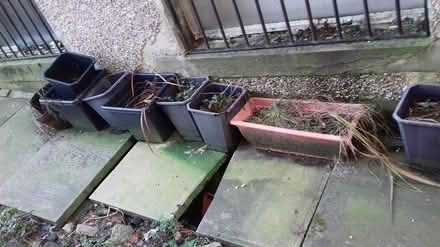 Photo of free plant pots / tubes (keighley) #4