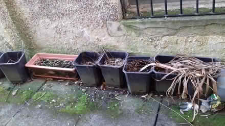 Photo of free plant pots / tubes (keighley) #2