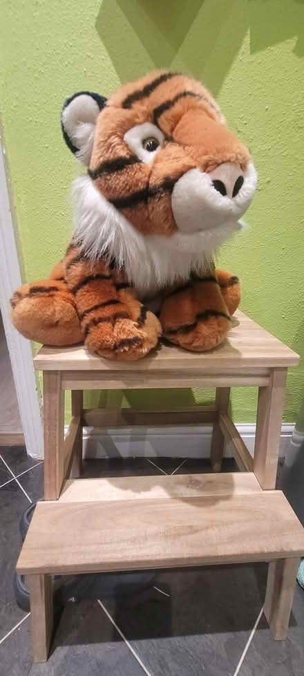 Photo of free Cuddly toy tiger (Newark) #1