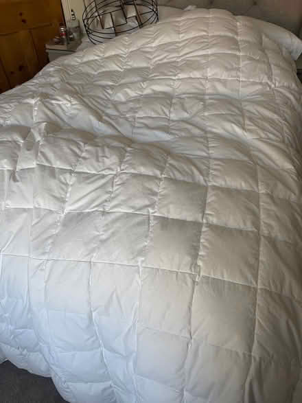 Photo of free All seasons king-size down duvet (Exeter EX2) #1