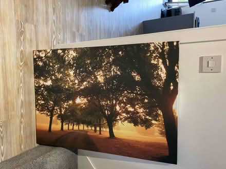 Photo of free Large canvas woodland print (Somersham) #1