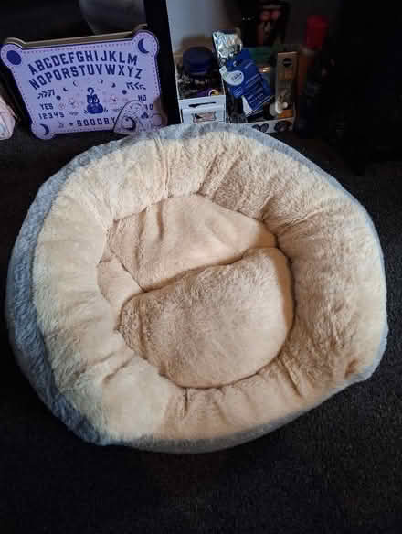 Photo of free Fluffy cat bed (Southey Green S5) #1