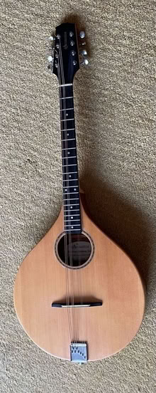 Photo of free Project - 8 string ? (Blackbird Leys OX4) #1