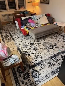 Photo of free area rug (Ditmas Park) #1