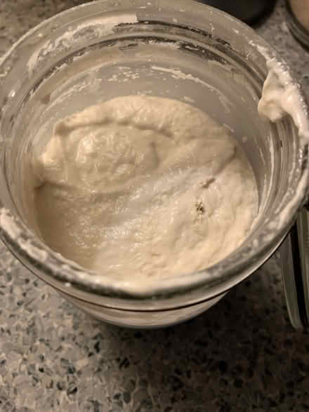 Photo of free Sourdough Starter (16 Street & First Ave Manhatta) #2