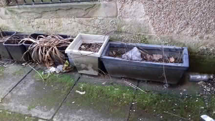 Photo of free plant pots / tubes (keighley) #3