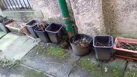 Photo of free plant pots / tubes (keighley) #1