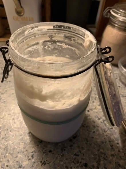 Photo of free Sourdough Starter (16 Street & First Ave Manhatta) #1