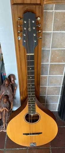 Photo of free Project - 8 string ? (Blackbird Leys OX4) #2