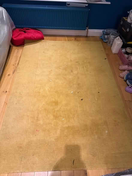 Photo of free Large yellow rug (Bromham MK43) #1