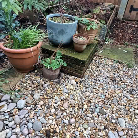 Photo of free Paving slabs (Catford South SE12) #3