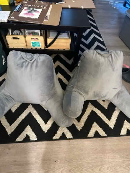 Photo of free Set of 2 boyfriend pillows (University City) #1