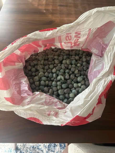 Photo of free Plant Drainage Gravel (Buena Park / Uptown) #2