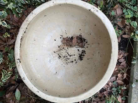 Photo of free Large glazed garden pot (Bower hill CM16) #2