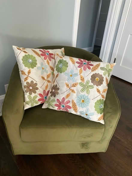 Photo of free Throw pillows (Lindridge Martin Manor) #1