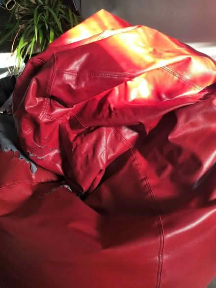 Photo of free Bean bag (Halifax HX1) #1