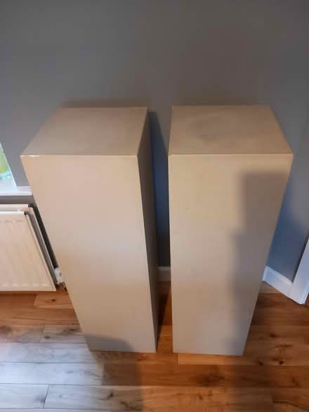 Photo of free 2 display pedestal (RG6 near Palmer Park) #1