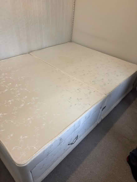 Photo of free Double divan bed (Grafton, Shrewsbury) #1