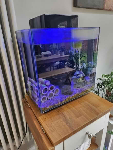 Photo of free Aquarium tank and accessories (Bowdon WA14) #4