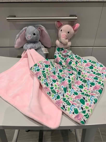 Photo of free 2 baby comforters (Emsworth PO10) #1