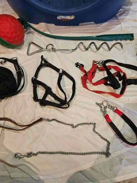 Photo of free Plastic Dog Bed, Training Lead and Stake, Harness, Toys (Hardwick OX27) #4