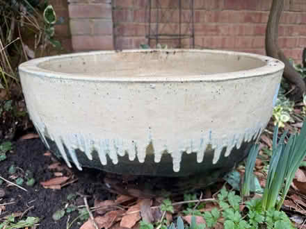 Photo of free Large glazed garden pot (Bower hill CM16) #1