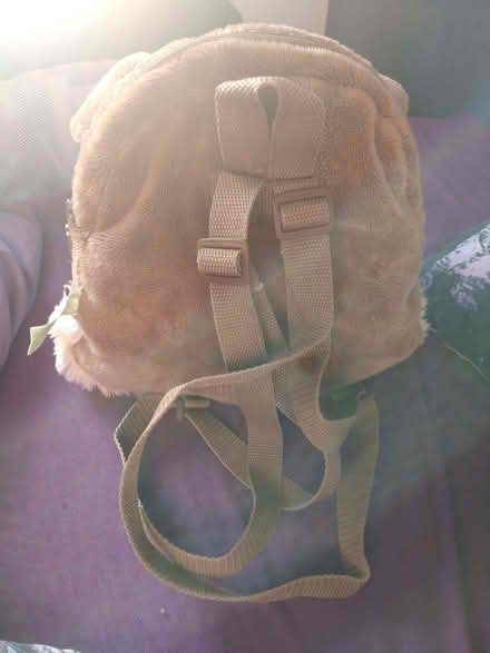 Photo of free Dog rucksack childs (Clubmoor L4) #3