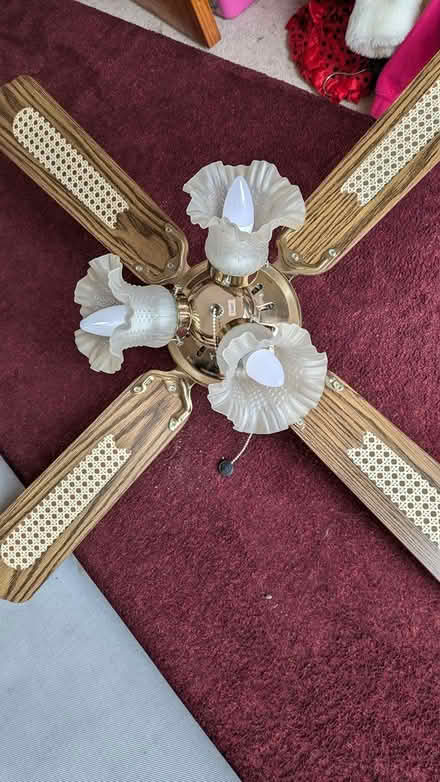 Photo of free Ceiling fan (Presteigne) #1