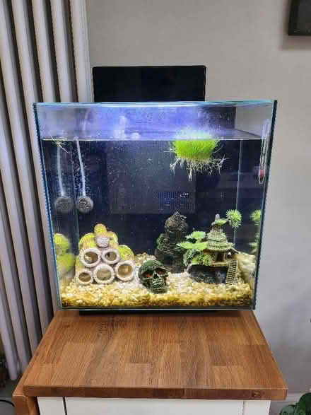 Photo of free Aquarium tank and accessories (Bowdon WA14) #1