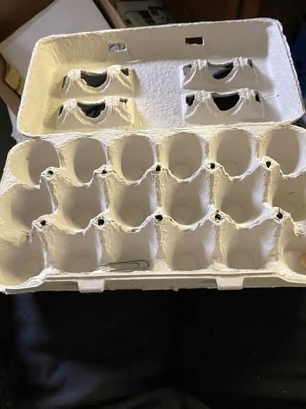 Photo of Egg cartons (San Rafael) #1