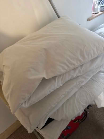 Photo of free Old pillows & duvets (Grafton, Shrewsbury) #1