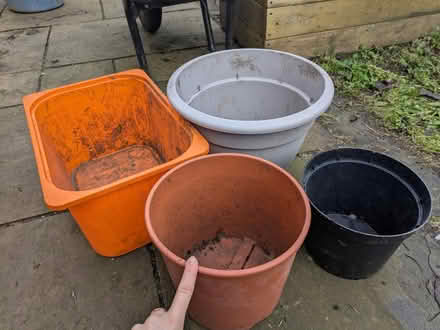 Photo of free Gardening stuff (Mosspark, Glasgow G52) #2