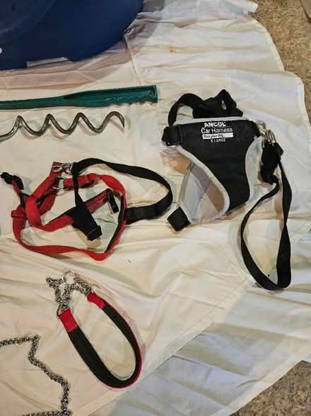 Photo of free Plastic Dog Bed, Training Lead and Stake, Harness, Toys (Hardwick OX27) #3