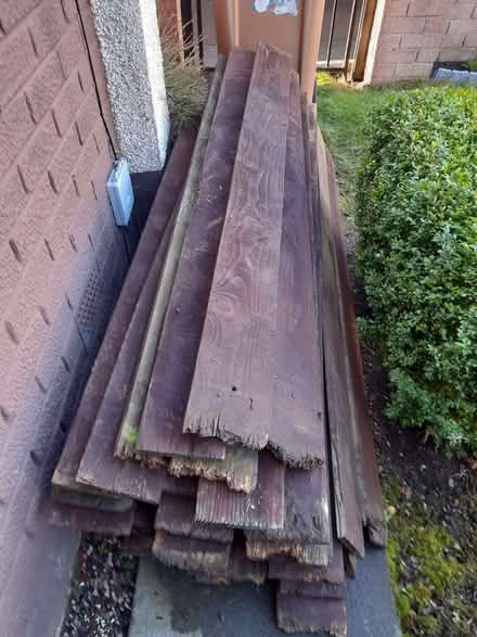 Photo of free Fence Panels (Northfield EH8) #1