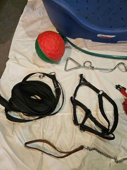 Photo of free Plastic Dog Bed, Training Lead and Stake, Harness, Toys (Hardwick OX27) #2