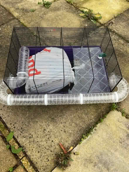 Photo of free Hamster cage (Lewisham) #1