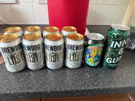 Photo of free 10 beers/lagers (Pilrig EH6) #1