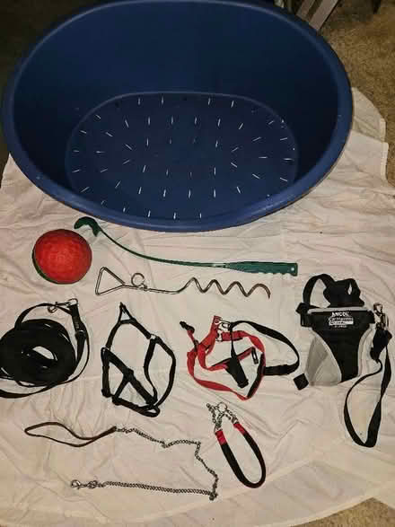 Photo of free Plastic Dog Bed, Training Lead and Stake, Harness, Toys (Hardwick OX27) #1