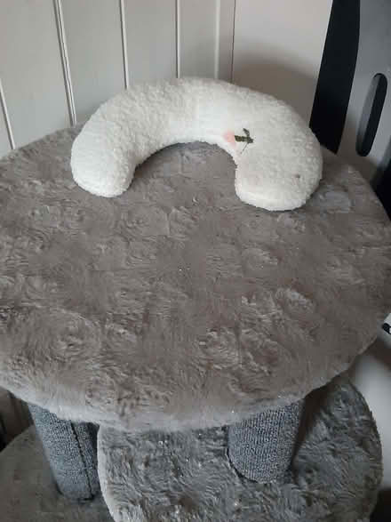 Photo of free Cat tree (Fareham PO15) #4