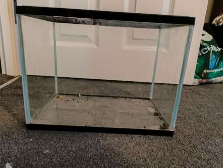 Photo of free Small Aquarium + Fish Kit! (Brownswood Park N5) #1