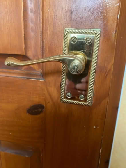 Photo of Door Handle (lanark) #1